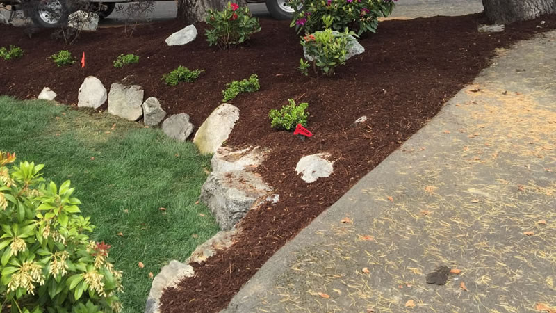 Bark Mulch Installation Services