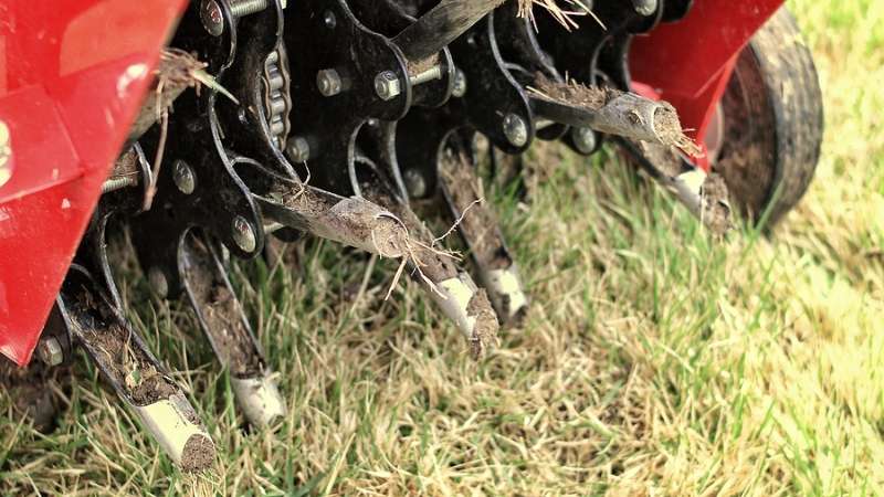 Lawn Aerating