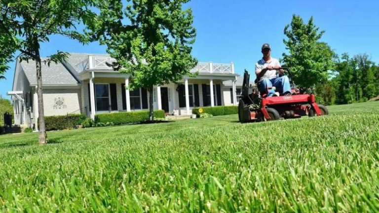 Lawn Care Services